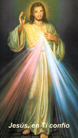 SPANISH***Divine Mercy Chaplet Prayer Card PC#222