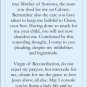Our Lady of LaSalette Prayer Card PC#286
