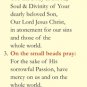 Divine Mercy Chaplet Bookmark BKMK-1