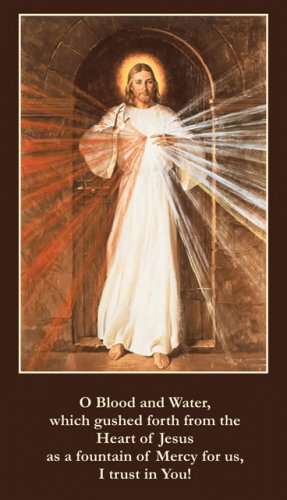 Divine Mercy Jesus Magnet #Mag-3