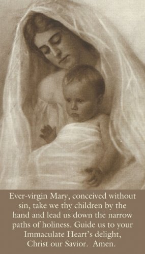 EVER VIRGIN MARY PRAYER CARD PC#6