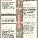 **LARGE PRINT** Mass Pew Cards WITH NEW TRANSLATIONS #MC85X55-LARGE