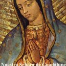 Religious Liberty Prayer Card - Our Lady of Guadalupe - Spanish #RL-OLOG-SPN