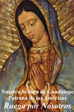 Religious Liberty Prayer Card - Our Lady of Guadalupe - Spanish #RL-OLOG-SPN