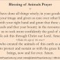 St. Francis Blessing of Animals Prayer Card PC#557
