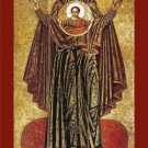Our Lady of the Sign Prayer Card PC#663