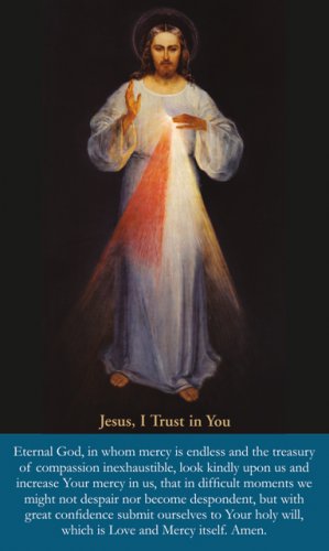 ***NEW*** Large Print Divine Mercy Prayer Card PC#681