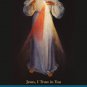 ***NEW*** Large Print Divine Mercy Prayer Card PC#681