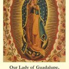 Our Lady of Guadalupe Bilingual Memorare Holy Card PC#271