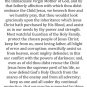 Year of St. Joseph Prayer of Protection YOSJ-2