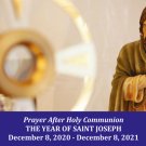 Year of St. Joseph Prayer After Holy Communion YOSJ-3 Year of St. Joseph Prayer After Holy Communion YOSJ-3