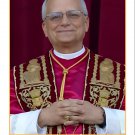 NEW Pope LEO XIV Holy Cards PC-916