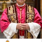 NEW POPE LEO XIV MAGNETS MAG-43