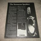 Yamaha NS-500 Speaker Ad from 1977,specs,article
