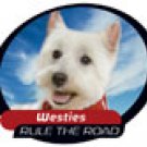 WEST HIGHLAND WHITE TERRIER WESTIE CAR WINDOW DECAL