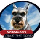 SCHNAUZER CAR WINDOW DECAL