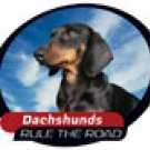 BLACK DACHSHUND CAR WINDOW DECAL
