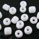 20g Glass Seed Bead 6/0 Loose White SG06-31