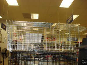 Live Animal Trap Cat Coon Rabbit Squirrel Cage Humane