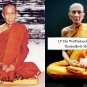 Luang Pu Toh WatPradochimpee Thai Budda Model