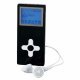 Media/MP3 Players