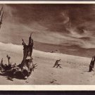 Lithuania Nida Nidden  Old Postcard J3081