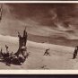 Lithuania Nida Nidden  Old Postcard J3081