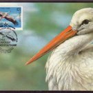 RUSSIA 1991 Maximum Card Nature Fauna Birds Stork M26