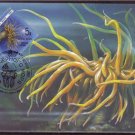 RUSSIA 1991 Maximum Card Marine Fauna M23
