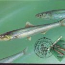 RUSSIA 1991 Maximum Card Marine Fauna Fishes M25