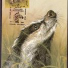 RUSSIA 1989 Maximum Card Nature Wild Animals Badger M9