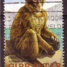 GIBRALTAR 2002 Fauna Monkey Used Sc910 J1901