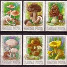 HUNGARY 1984 Mushrooms MNH set CV 6.5 EUR J908