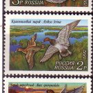 RUSSIA 1992 Fauna Birds Ducks MNH J2237