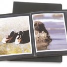 Professional Portfolio