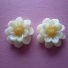 White Flower Daisy Cabochons