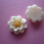 White Flower Daisy Cabochons