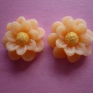 Peach Flower Daisy Cabochons