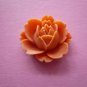 Orange Flower Lotus Cabochons