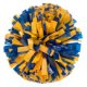 Cheerleader Pom Poms