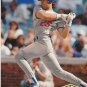 1993 Upper Deck Mike Piazza RC