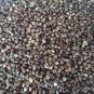 Starter Hemp Plants - Organic