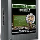 Blogging profits online