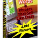 Internet Marketing Words & Phrases that Sell Like Crazy