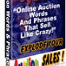 1079 Auction Words & Phrases that Sell Like Crazy Ebook