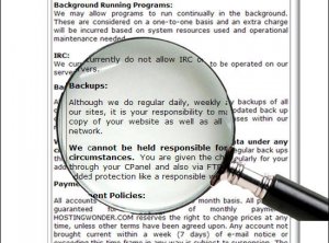 Web Hosting...The Fine Print Ebook