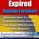 Expired Domain fortunes Ebook