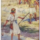 HURLBUT'S STORY OF THE BIBLE Audio Book - CD-ROM - mp3