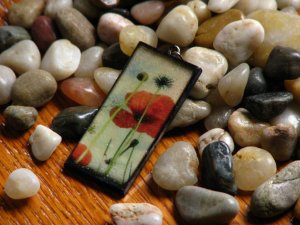 In Poppy Fields