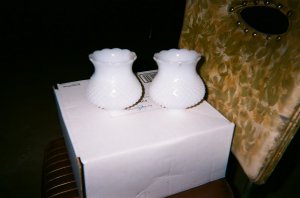 REPLACEMENT GLOBES